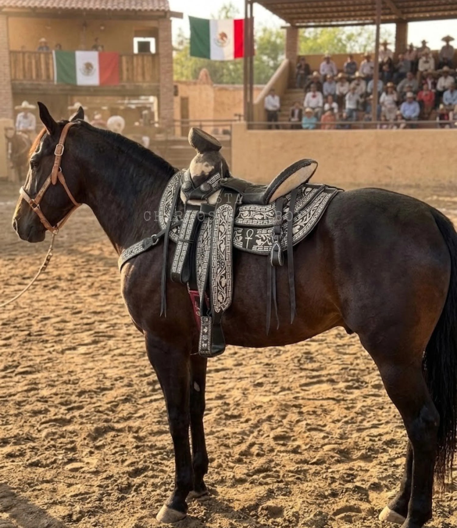 MONTURAS | 5TA