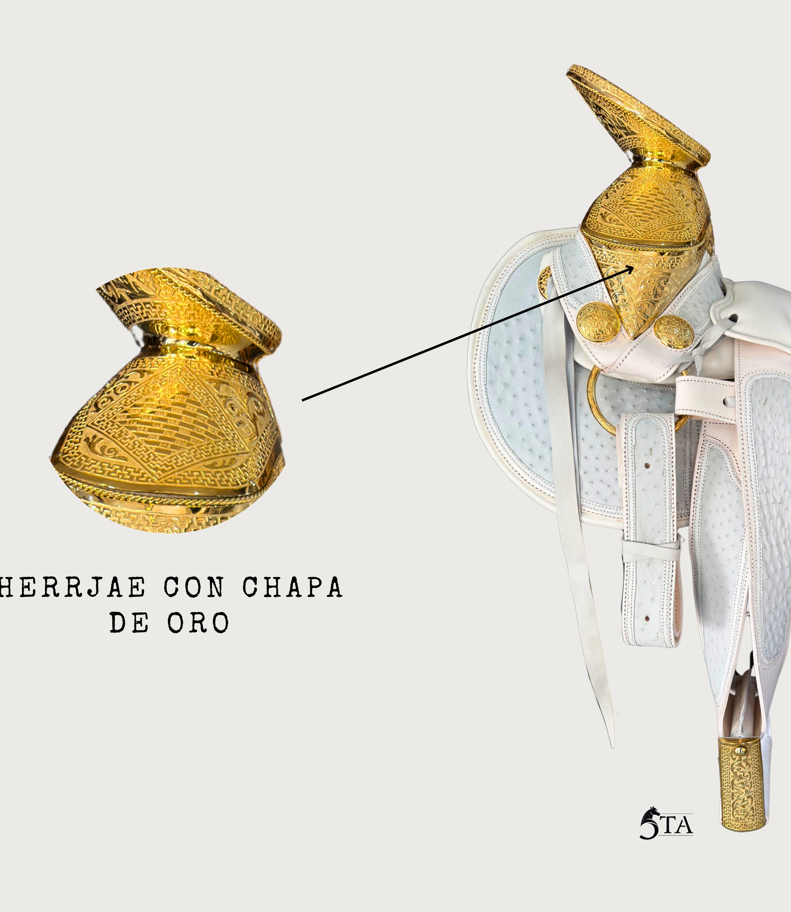 Montura Charra Piel de Avestruz Chapada en Oro