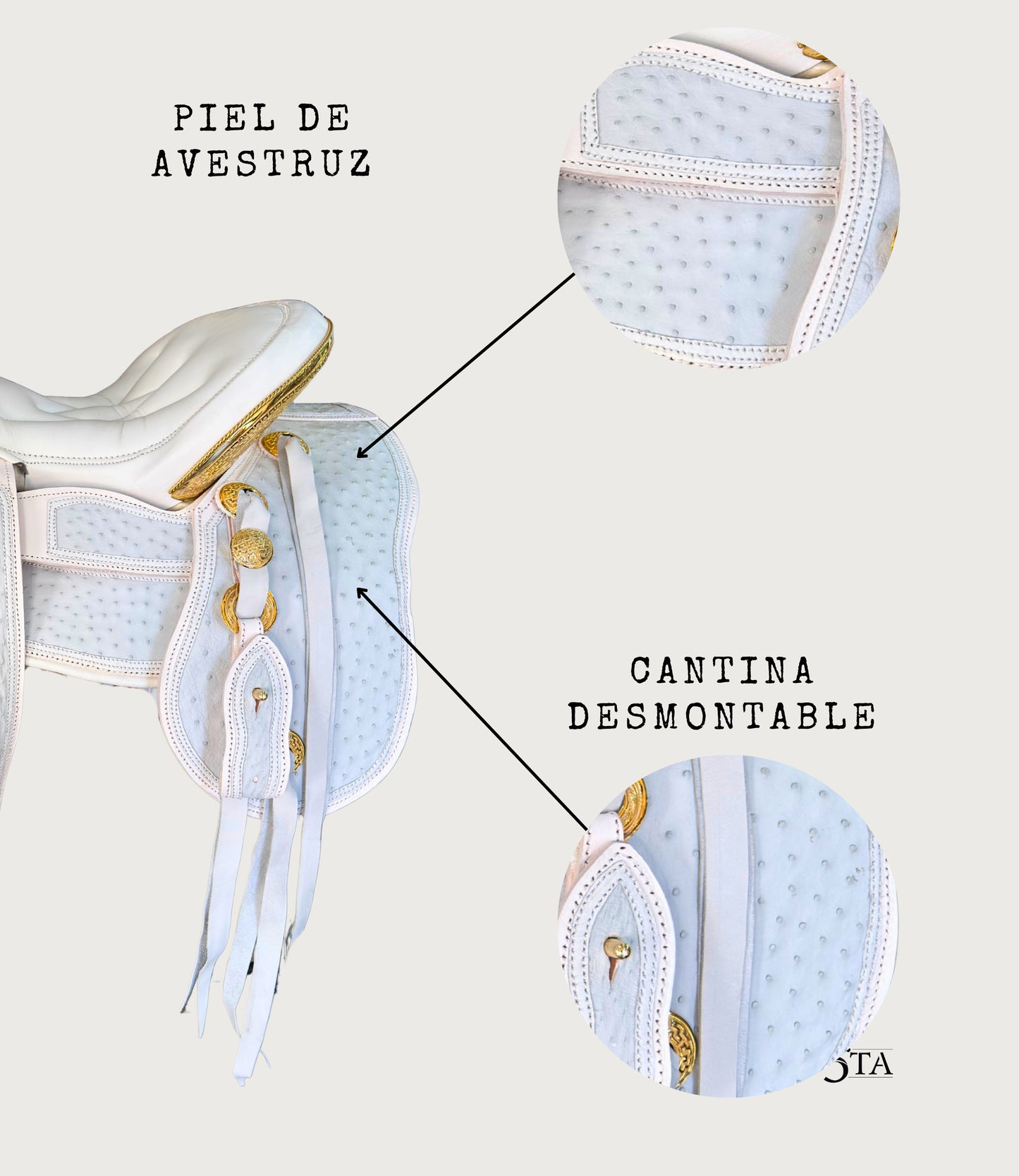 Montura Charra Piel de Avestruz Chapada en Oro 24 KL