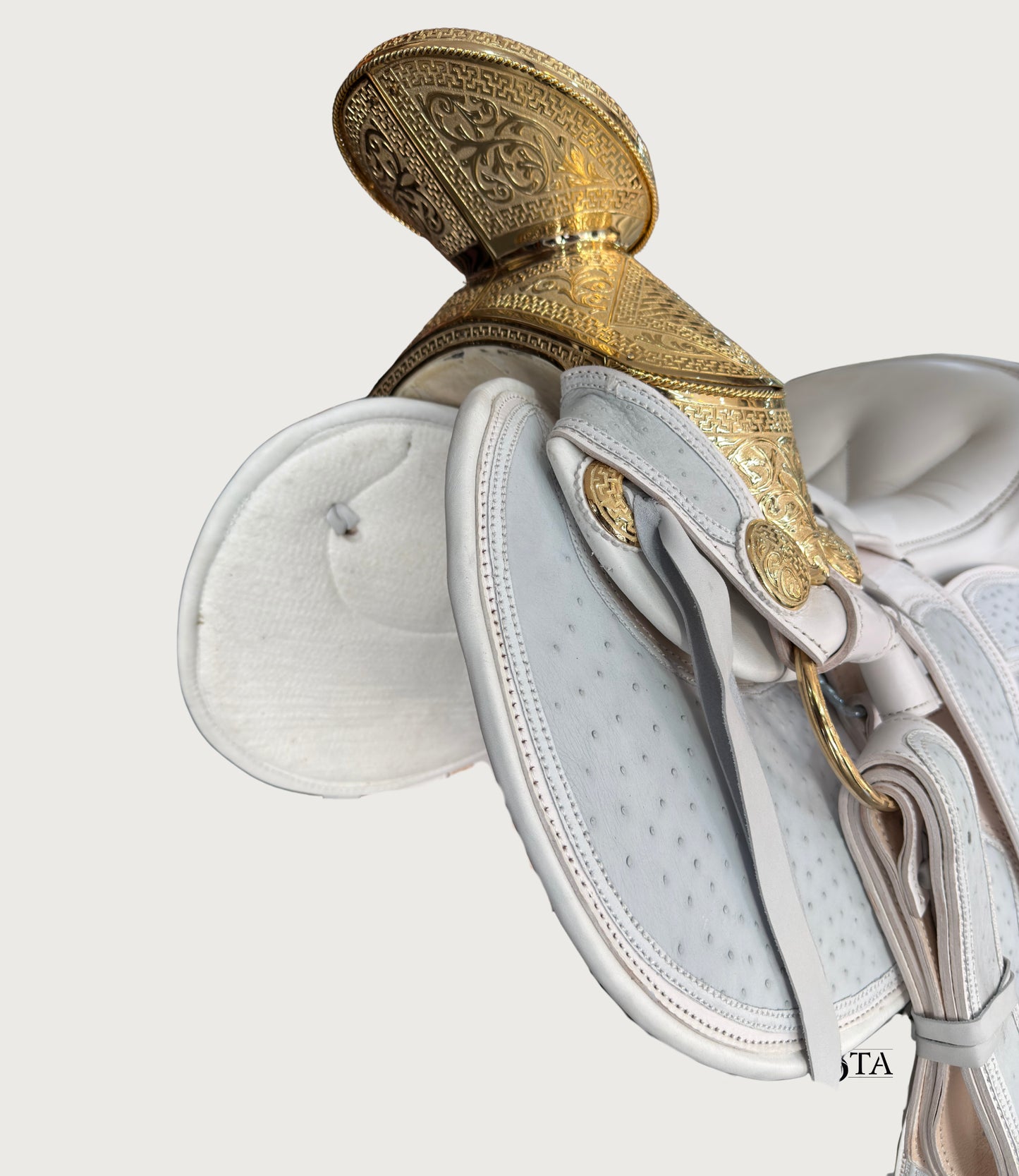 Montura Charra Piel de Avestruz Chapada en Oro 24 KL