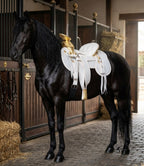 Montura Charra Piel de Avestruz Chapada en Oro