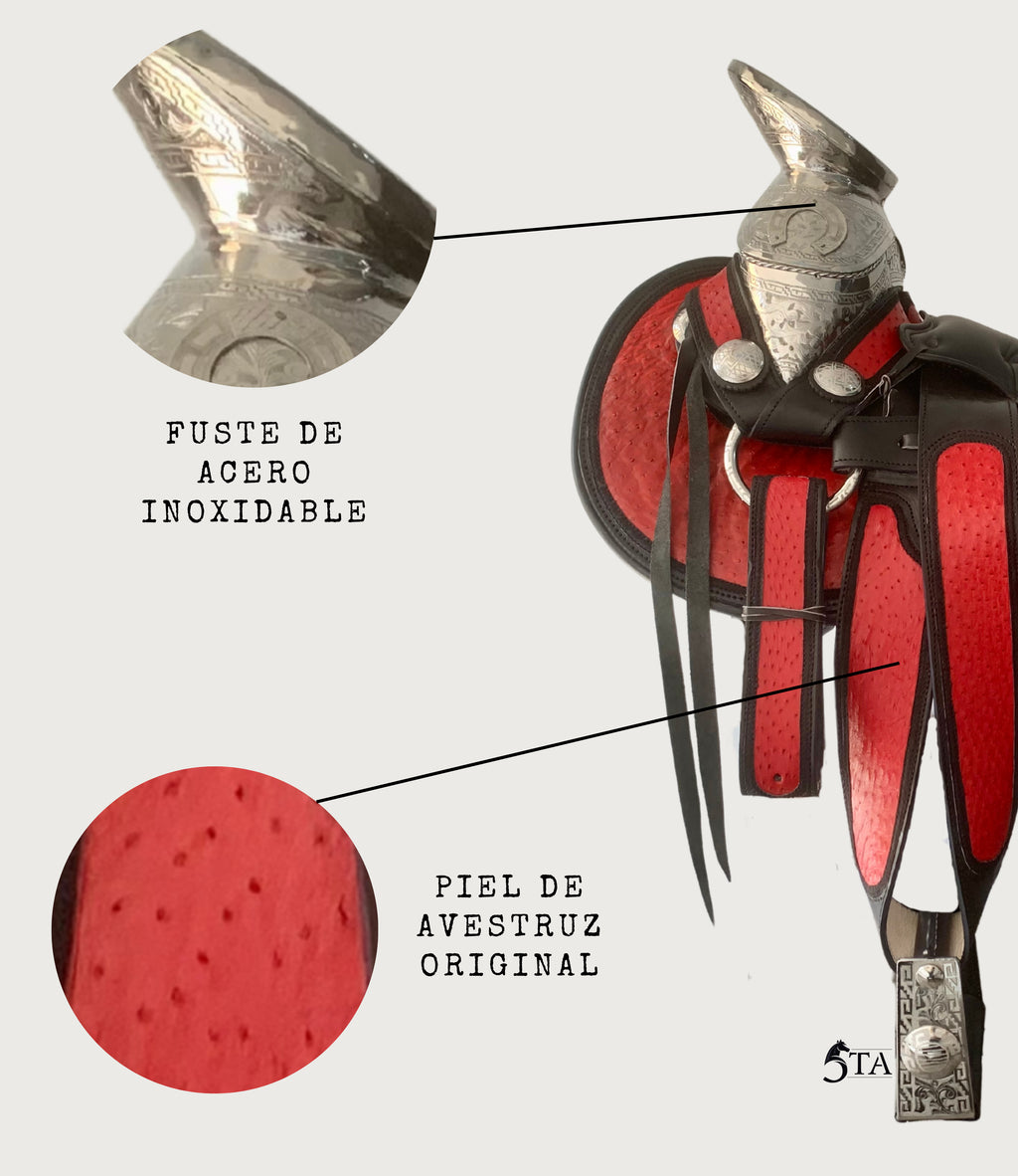 Montura Charra Piel de Avestruz y Cantinas